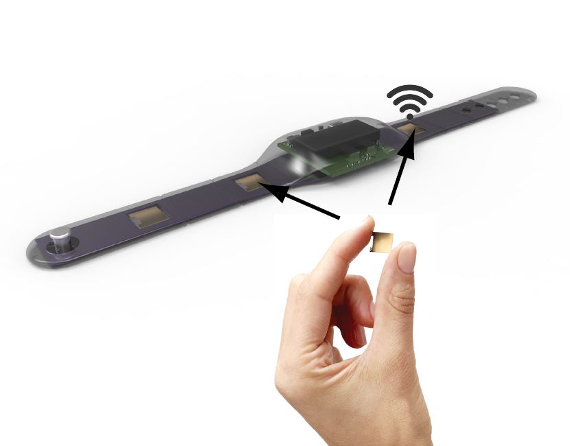 Why Displays are Making Wearables a Viable Technology - Electrical ...